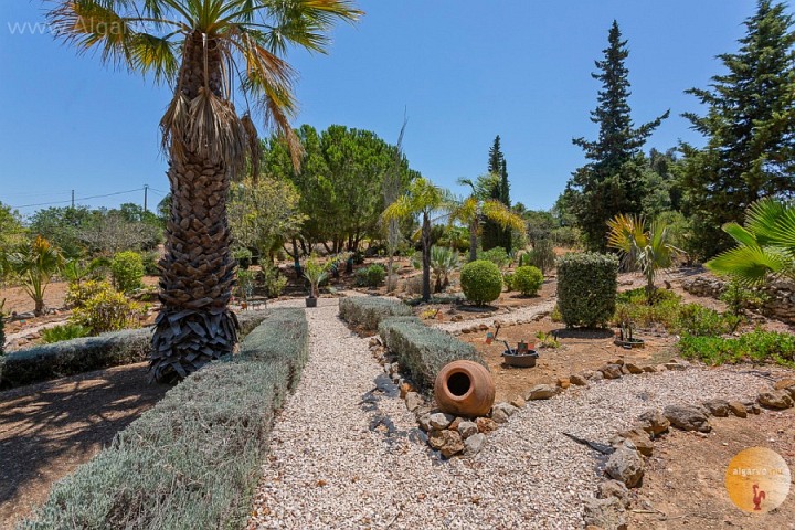 Ferienwohnung-mit-grossem-GartenFerienwohnung Vila Maria